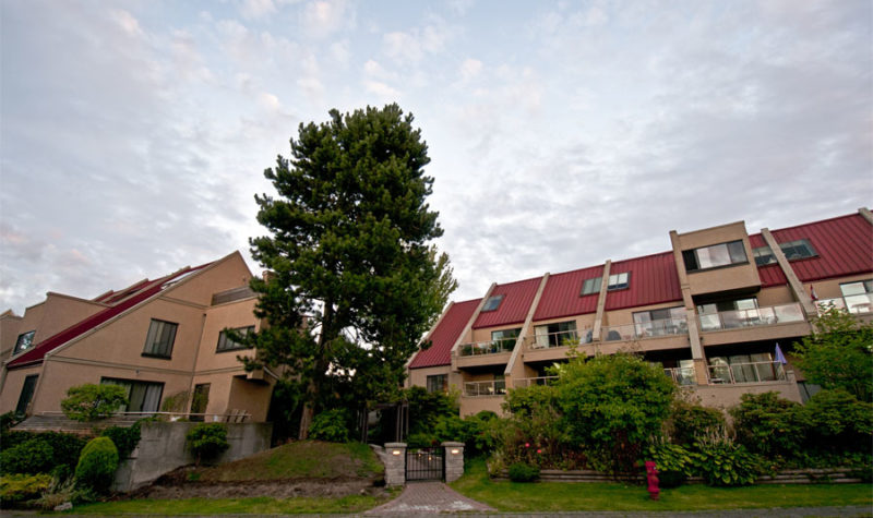ExteriFalse Creak Housing Co-operative-1